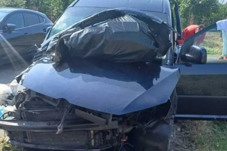 Kombi pun životinja iz BiH doživio prometnu nezgodu u Italiji