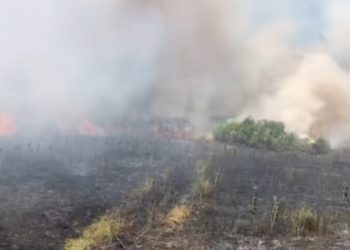 Požar u Potkraju kod Širokog Brijega, vatrogasci na terenu