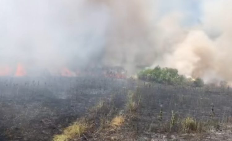 Požar u Potkraju kod Širokog Brijega, vatrogasci na terenu