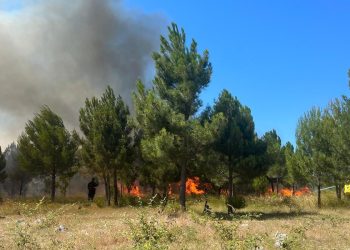 Požari u Zapadnoj Hercegovini: Apel građanima i zahvala herojima