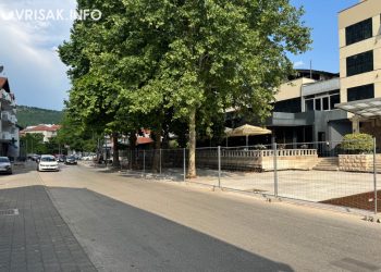 Širokobriježanin o stablu koje pripada ljudima: “Orah na Trgu”