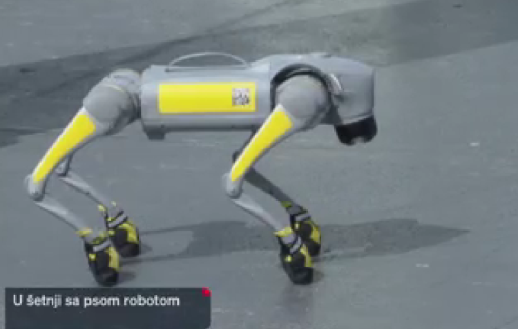 Robotski pas Švrćo: Tehnološko čudo koje uči, pomaže i spašava