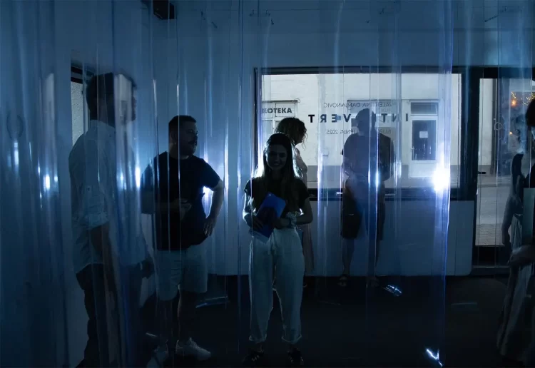 U Širokom Brijegu otvorena izložba “Introvert” Valentine Damjanović