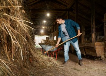 Blokade koštale BiH milijune eura, izvozu prijeti gubitak u milijardama
