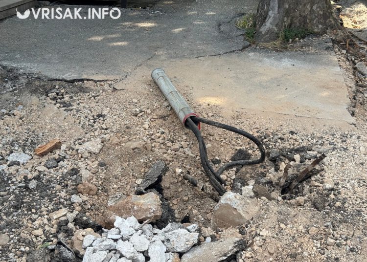 Orah u središtu Širokog Brijega planira se ukloniti idući tjedan