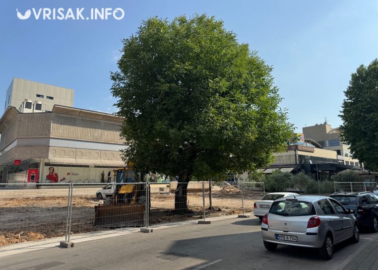 Orah u središtu Širokog Brijega planira se ukloniti idući tjedan