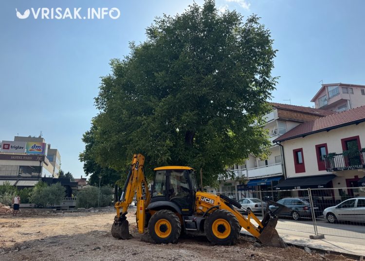 Orah u središtu Širokog Brijega planira se ukloniti idući tjedan