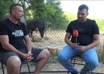 Danijel Ćavar: Otac četvero djece iz Širokog Brijega zaljubio se u svijet borbi bikova