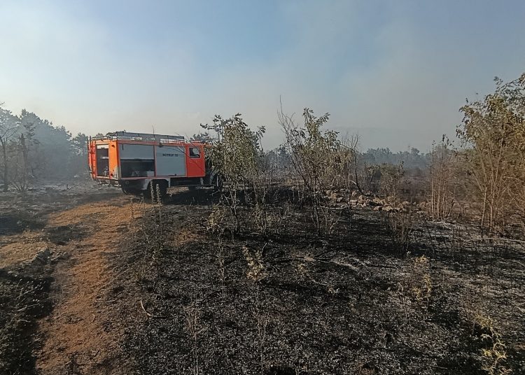 Požar iznad Ljutog Doca prijetio selu: Nadljudskim naporima vatrogasaca i mještana stavljen pod kontrolu