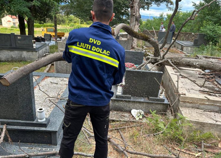Nevrijeme oborilo drveće na groblju Kraljevine, intervenirali iz DVD Ljuti Dolac