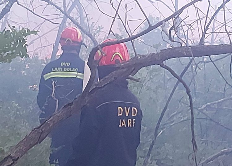 Požar iznad Ljutog Doca prijetio selu: Nadljudskim naporima vatrogasaca i mještana stavljen pod kontrolu