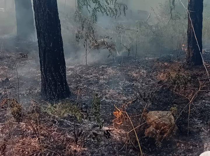 Požar iznad Ljutog Doca prijetio selu: Nadljudskim naporima vatrogasaca i mještana stavljen pod kontrolu