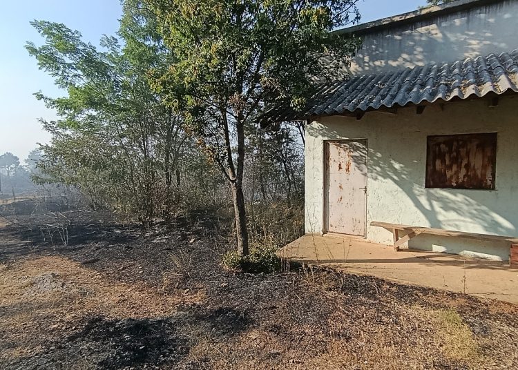 Požar iznad Ljutog Doca prijetio selu: Nadljudskim naporima vatrogasaca i mještana stavljen pod kontrolu