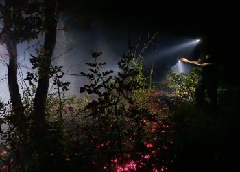 Požar iznad Ljutog Doca prijetio selu: Nadljudskim naporima vatrogasaca i mještana stavljen pod kontrolu