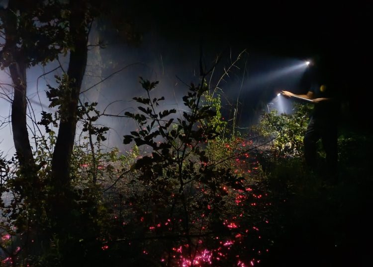 Požar iznad Ljutog Doca prijetio selu: Nadljudskim naporima vatrogasaca i mještana stavljen pod kontrolu