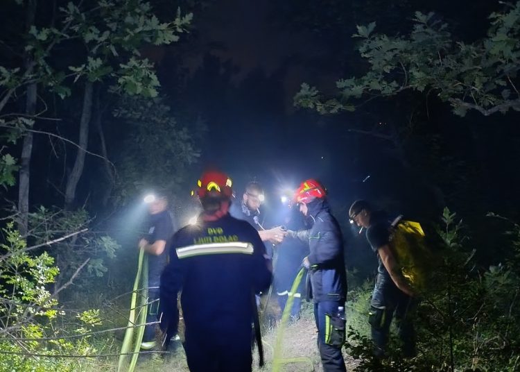 Požar iznad Ljutog Doca prijetio selu: Nadljudskim naporima vatrogasaca i mještana stavljen pod kontrolu