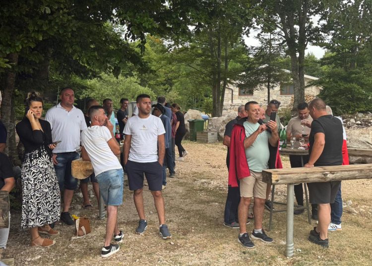 Festival žetve u Dabiu: Povratak prirodi, tradiciji i zimici