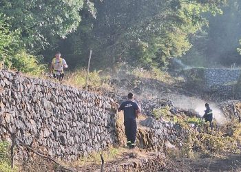 Brzom intervencijom spriječena katastrofa u Gornjim Mamićima