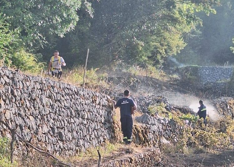 Brzom intervencijom spriječena katastrofa u Gornjim Mamićima