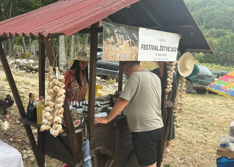 Festival žetve u Dabiu: Povratak prirodi, tradiciji i zimici
