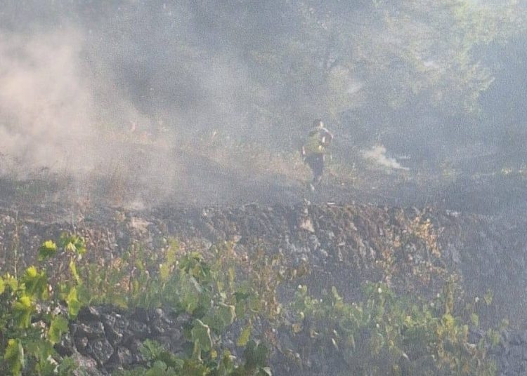 Brzom intervencijom spriječena katastrofa u Gornjim Mamićima