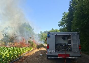 Široki Brijeg: Spriječeno širenje požara u Potkraju