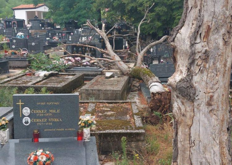Nevrijeme oborilo drveće na groblju Kraljevine, intervenirali iz DVD Ljuti Dolac