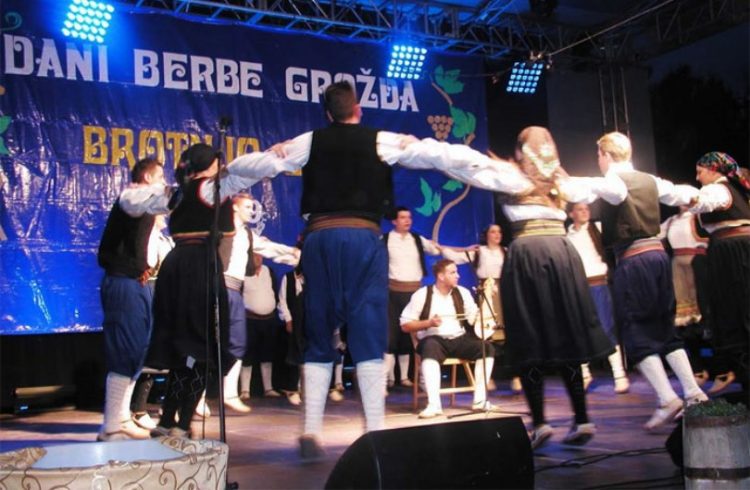 Pogledajte bogat petodnevni program “Dani berbe grožđa – Brotnjo 2025.”