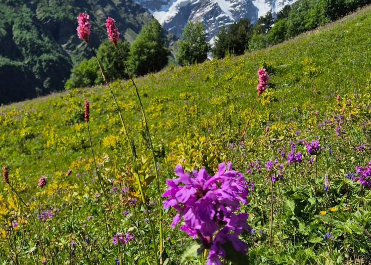 Širokobriježanin Marko Karačić osvojio Elbrus – najviši vrh Europe