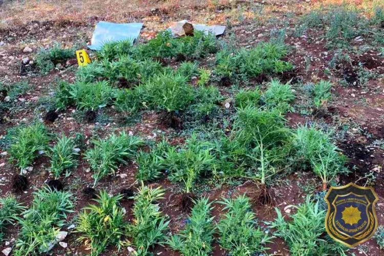 Čapljina: Jedna osoba uhićena, pronađena droga, oružje i streljivo