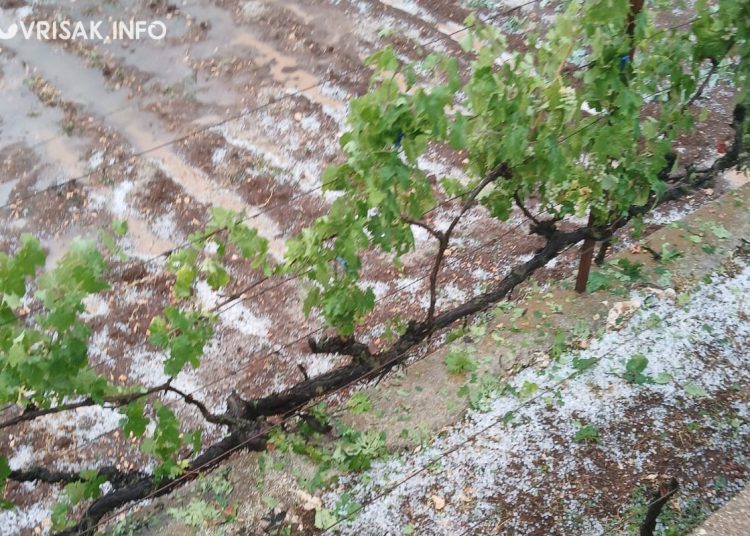 Široki Brijeg: Krupa u Rasnu uništila vrtove i vinovu lozu