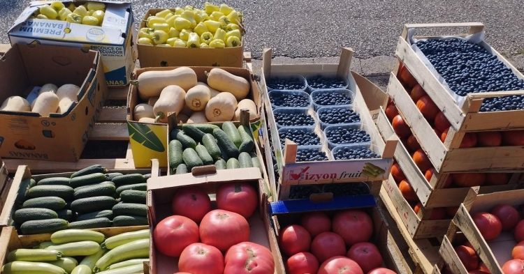 Na čapljinskoj Veletržnici bogata ponuda povrća i voća, pogledajte cijene