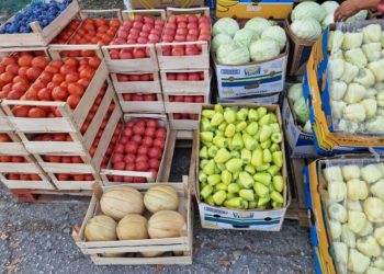 Najnovije cijene na veletržnici u Čapljini: Domaća paprika jeftinija od američke
