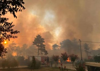 Ljubuški: Vatrogasci i mještani gase požar, vatra prijetila kućama