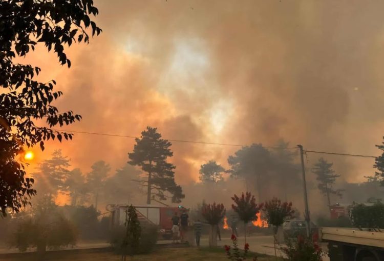Ljubuški: Vatrogasci i mještani gase požar, vatra prijetila kućama