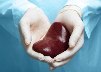 Transplantacijska medicina u BiH nazaduje: Sve manje presađivanja, a liste čekanja sve duže