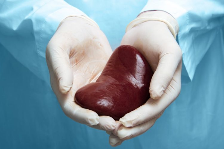 Transplantacijska medicina u BiH nazaduje: Sve manje presađivanja, a liste čekanja sve duže