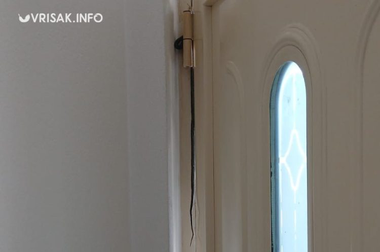 Široki Brijeg:  Zmija na vrhu kućnih vrata iznenadila obitelj u Mokrom