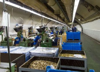 Radnik Igmana teško ozlijeđen, prevezen na liječenje u Mostar
