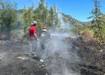 Požar kod Stoca stavljen pod kontrolu: Izgorjelo 50 hektara, teren bio minski