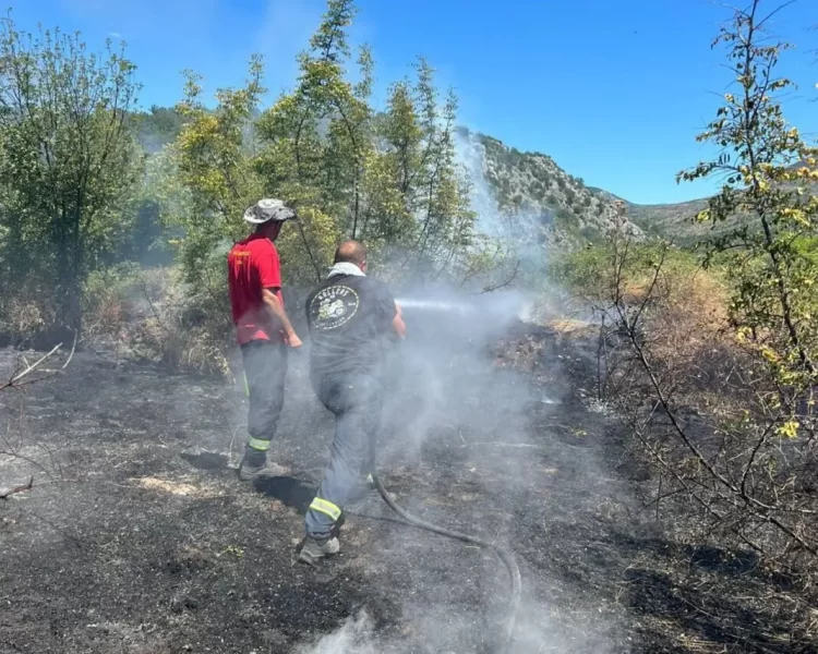 Požar kod Stoca stavljen pod kontrolu: Izgorjelo 50 hektara, teren bio minski