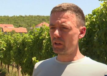 (VIDEO) Suša prijeti urodima: Hercegovina žeđa, vinogradi traže spas
