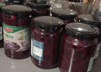 Evo isplati li se praviti zimnicu ili ipak ne?