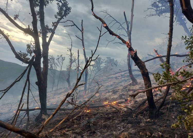 Široki Brijeg: Vatrogasci se bore s velikim požarom u Crnču