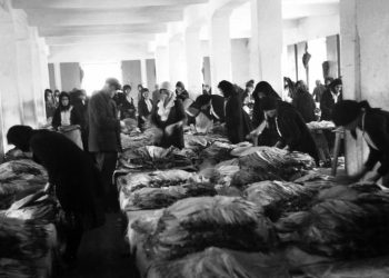 Iz prošlosti Širokog Brijega: U duhanskoj stanici 1940.-ih