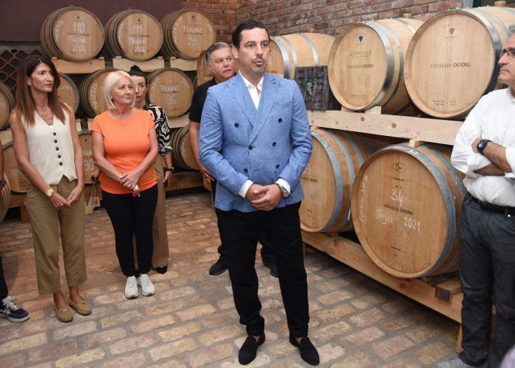 Diplomatska berba u Međugorju: Veleposlanici i domaćini zajedno u vinogradima Hercegovine