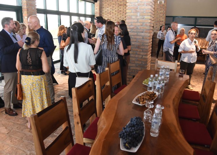 Diplomatska berba u Međugorju: Veleposlanici i domaćini zajedno u vinogradima Hercegovine