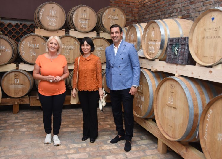 Diplomatska berba u Međugorju: Veleposlanici i domaćini zajedno u vinogradima Hercegovine