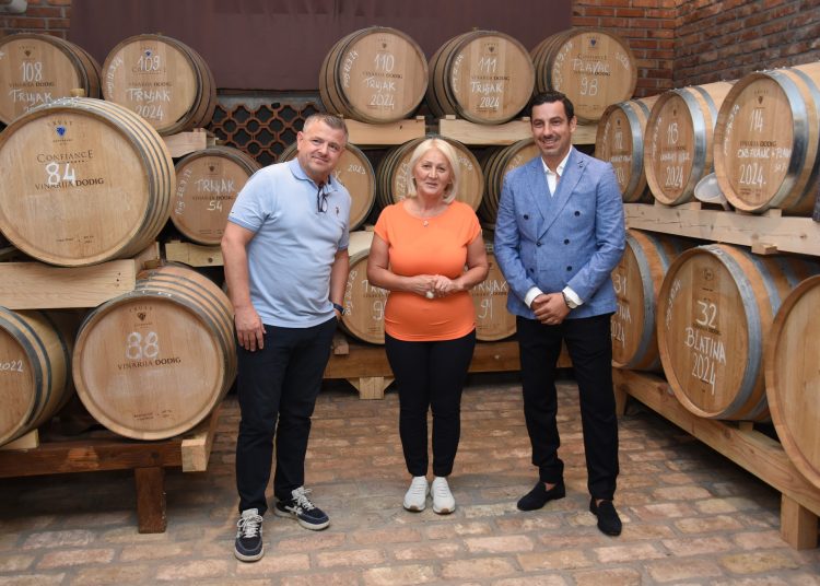 Diplomatska berba u Međugorju: Veleposlanici i domaćini zajedno u vinogradima Hercegovine