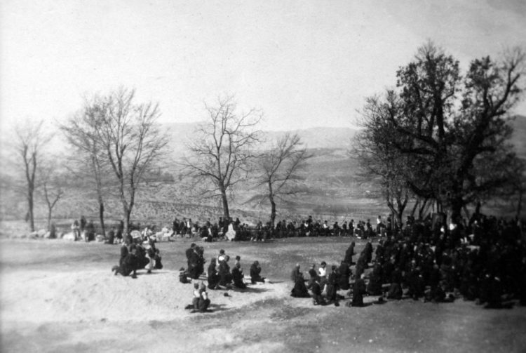 Fotografija iz 1930-ih: Hrast ispred crkve na Širokom Brijegu